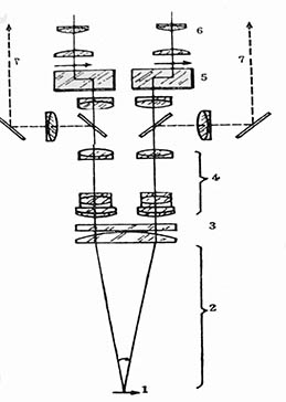 体视荧光.jpg 体视荧光.jpg