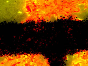 朱墨时序.jpg 朱墨时序.jpg