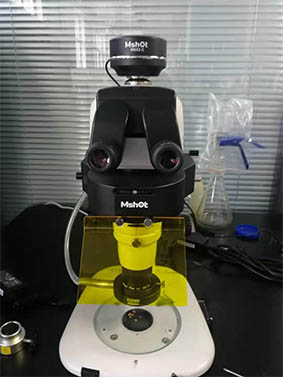 体视荧光模块.jpg 体视荧光模块.jpg