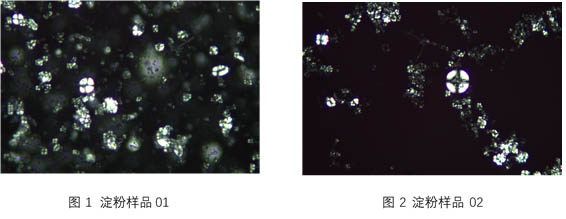 偏光样品.jpg 偏光样品.jpg
