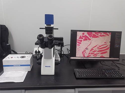 倒置显微镜MI52-N.jpg 倒置显微镜MI52-N.jpg