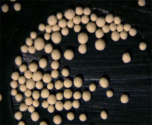 显微镜下的陶瓷小球1.jpg 显微镜下的陶瓷小球1.jpg