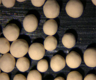 显微镜下的陶瓷小球2.jpg 显微镜下的陶瓷小球2.jpg