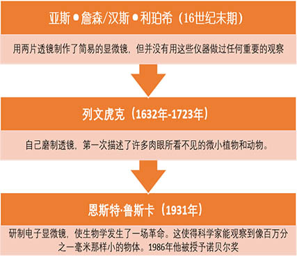 显微镜是什么.jpg 显微镜是什么.jpg