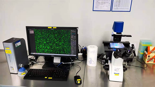 显微镜相机.jpg 显微镜相机.jpg