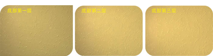 多层细胞工厂效果图.jpg 多层细胞工厂效果图.jpg