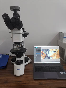 偏光显微镜.jpg 偏光显微镜.jpg