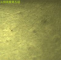 多层01.png 多层01.png