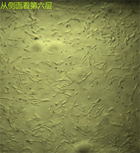 多层02.png 多层02.png