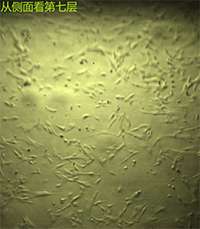 多层03.png 多层03.png