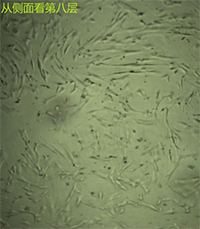 多层04.png 多层04.png