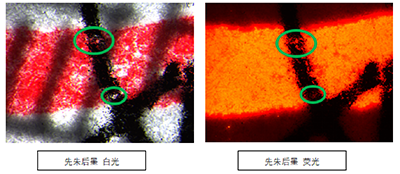 朱墨2.png 朱墨2.png