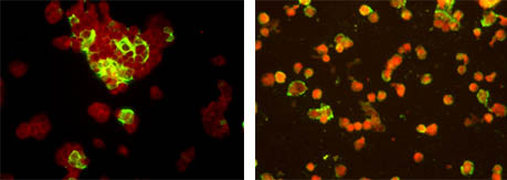 七连检.jpg 七连检.jpg