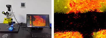 朱墨时序.jpg 朱墨时序.jpg