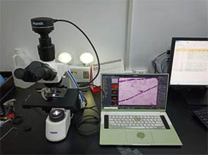 微生物.jpg 微生物.jpg