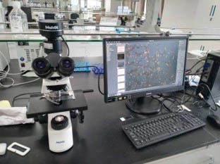 中药材.jpg 中药材.jpg