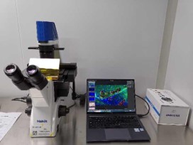 荧光切片.jpg 荧光切片.jpg