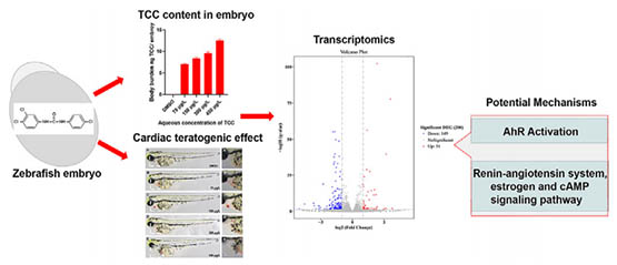 荧光显微镜下的研究.jpg 荧光显微镜下的研究.jpg