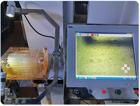 多层细胞工厂局部图.jpg 多层细胞工厂局部图.jpg