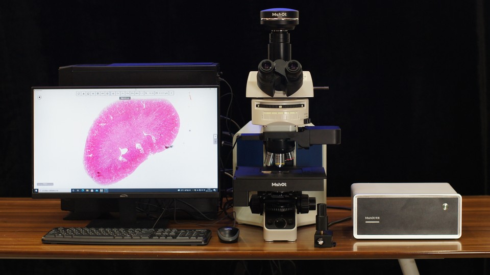 数字切片扫描系统.jpg 数字切片扫描系统.jpg