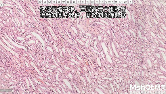 效果图.jpg 效果图.jpg