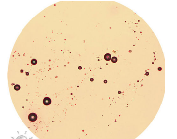 显微镜下的可乐.png 显微镜下的可乐.png