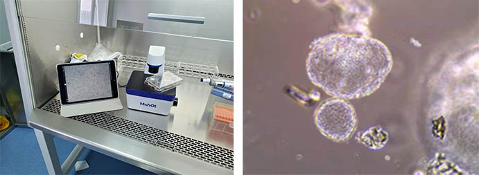 活细胞成像1.jpg 活细胞成像1.jpg