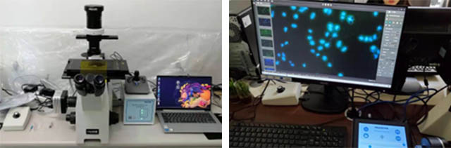 电动倒置荧光显微镜.jpg 电动倒置荧光显微镜.jpg