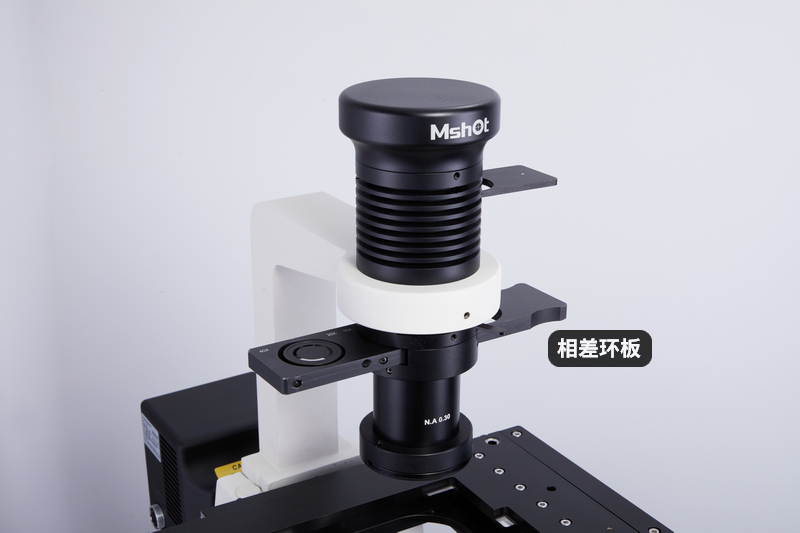 相衬_02.jpg 相衬_02.jpg