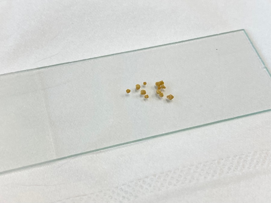 lmhw_04.jpg lmhw_04.jpg