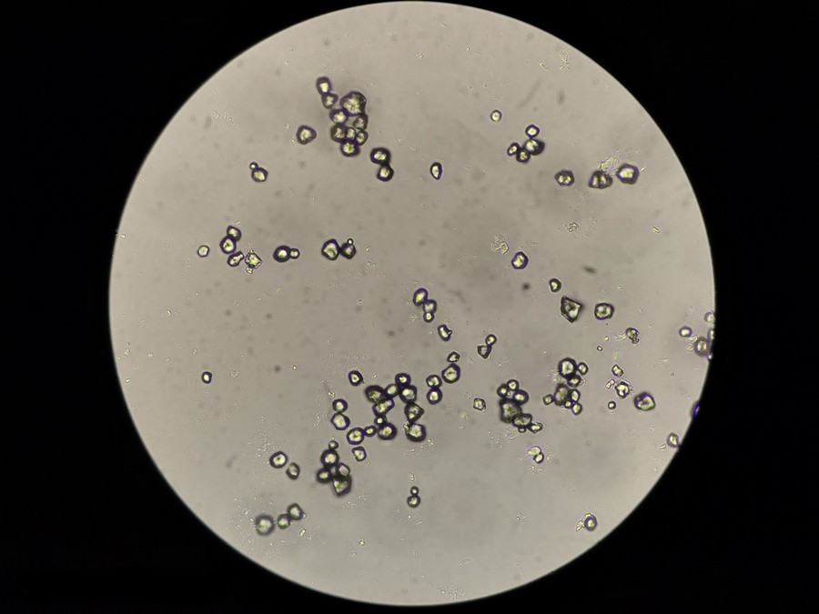 lmhw_07.jpg lmhw_07.jpg