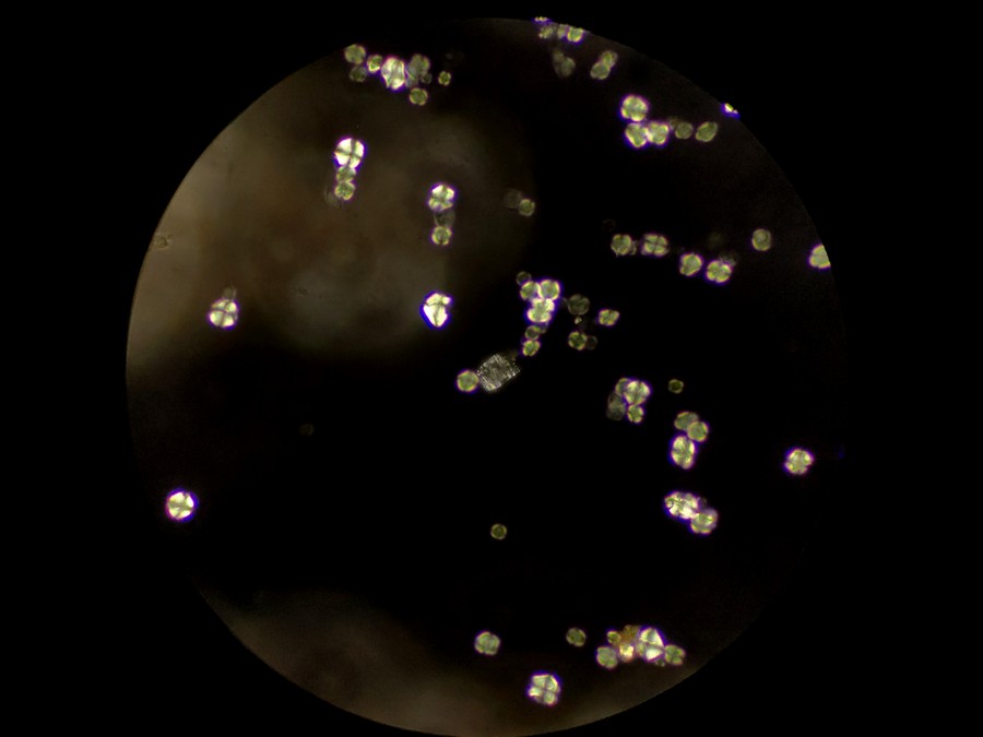 lmhw_09.jpg lmhw_09.jpg