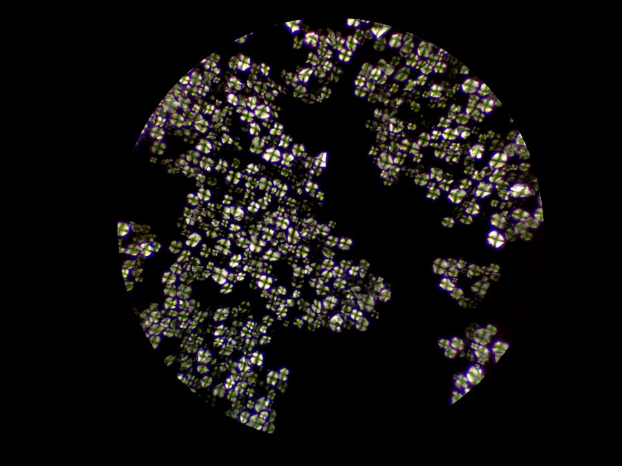 lmhw_12.jpg lmhw_12.jpg