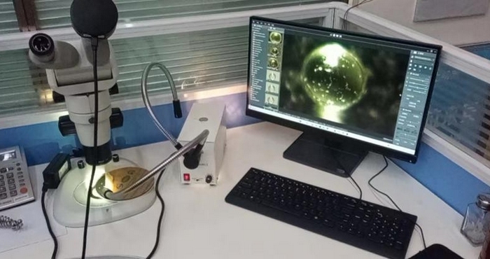 显微镜相机.jpg 显微镜相机.jpg