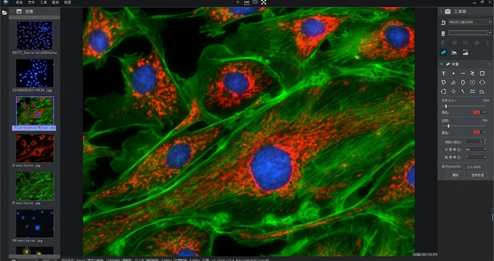 显微镜相机_7.jpg 显微镜相机_7.jpg