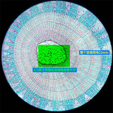 显微镜相机_2.jpg 显微镜相机_2.jpg