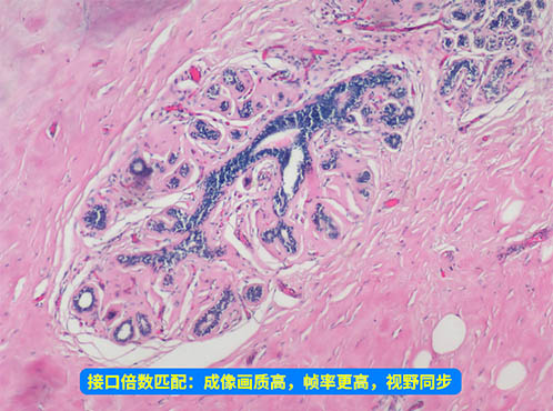 显微镜相机接口.jpg 显微镜相机接口.jpg