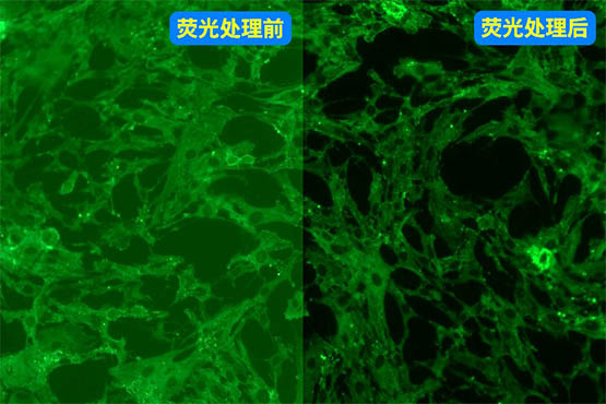 显微镜相机_10.jpg 显微镜相机_10.jpg