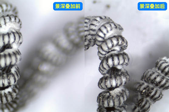 显微镜相机-12.jpg 显微镜相机-12.jpg