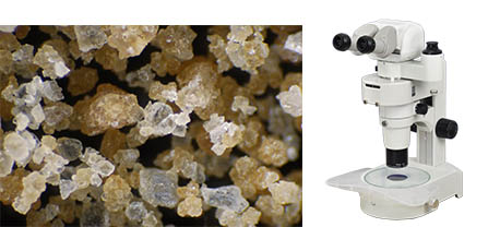 板蓝根粉末.jpg 板蓝根粉末.jpg