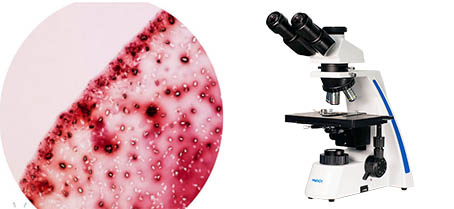 红酒.jpg 红酒.jpg