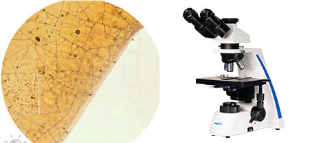 啤酒.jpg 啤酒.jpg