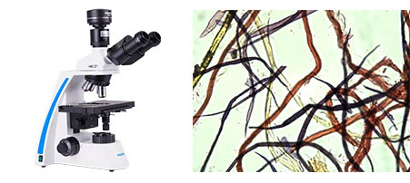 MSX11纸纤维.jpg MSX11纸纤维.jpg