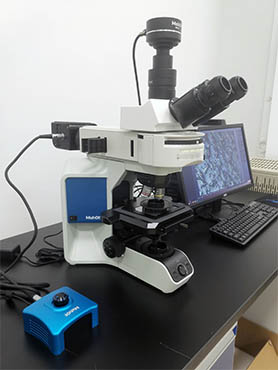 金相显微镜MJ43-1.jpg 金相显微镜MJ43-1.jpg