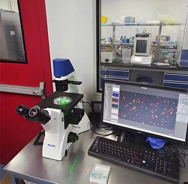 倒置荧光显微镜MF52-N.jpg 倒置荧光显微镜MF52-N.jpg