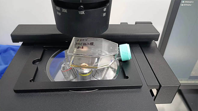 倒置显微镜MI52-N1.jpg 倒置显微镜MI52-N1.jpg