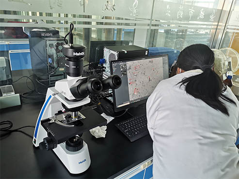 生物偏光显微镜1.jpg 生物偏光显微镜1.jpg