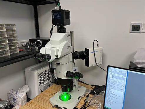 四通道光源1.jpg 四通道光源1.jpg