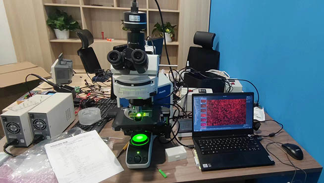 荧光显微镜MF43-N.jpg 荧光显微镜MF43-N.jpg