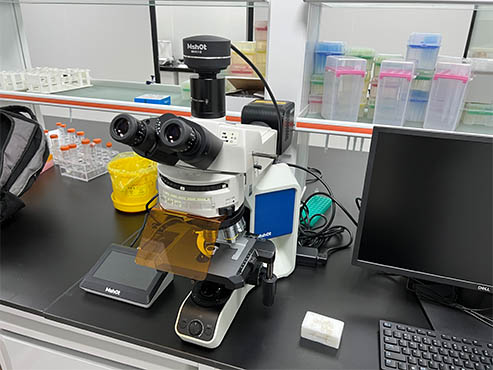 正置荧光显微镜MF43-N.jpg 正置荧光显微镜MF43-N.jpg